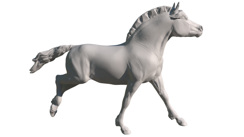 Catrina the cantering fjord mare - White resin ready to prep / paint LTD EDITION - Pre - Order