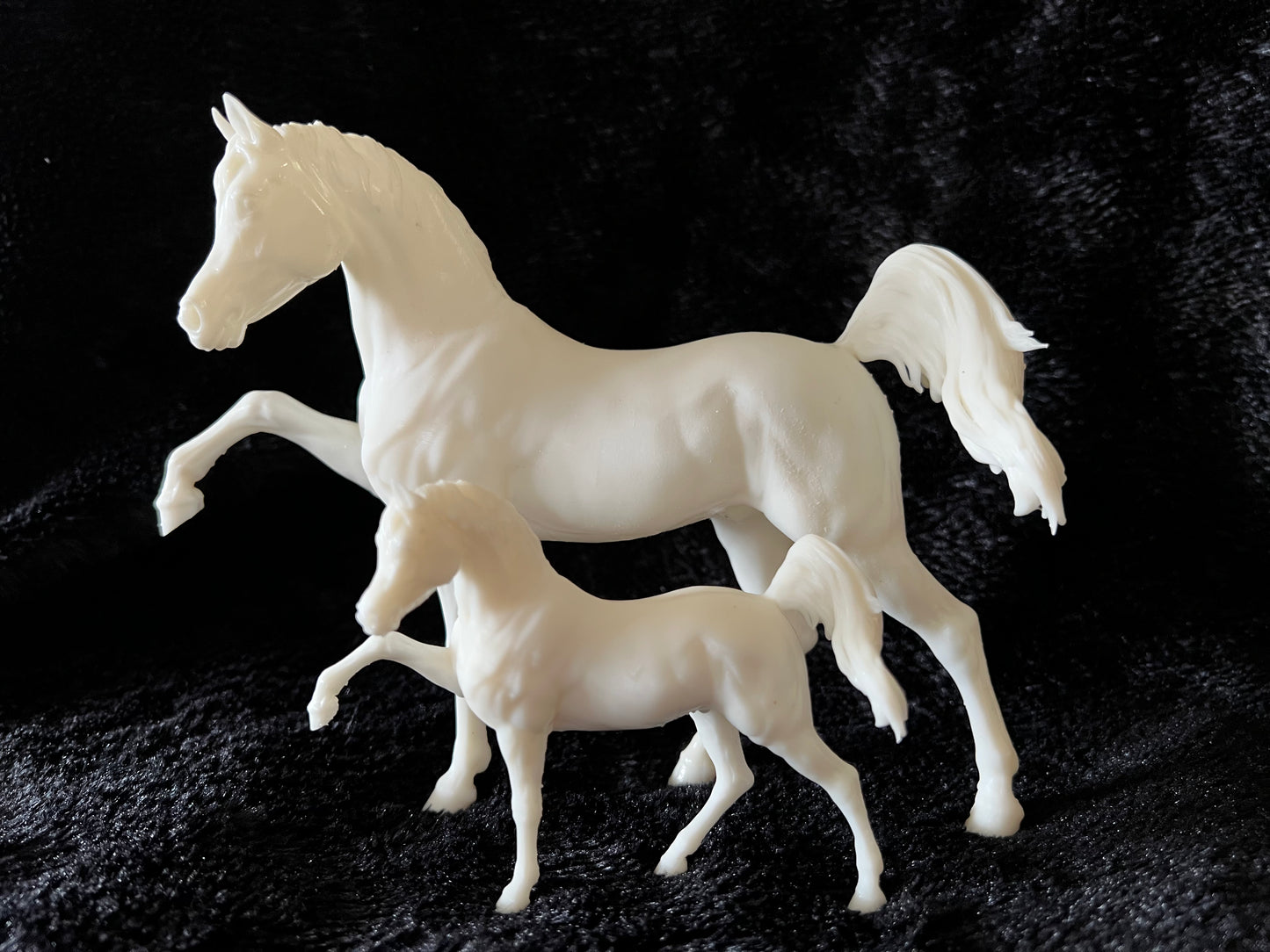 Sassy Arabian stallion Firefly - White resin ready to prep / paint LTD EDITION - Pre - Order