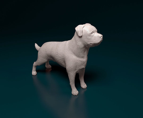 Rottweiler - white ready to paint