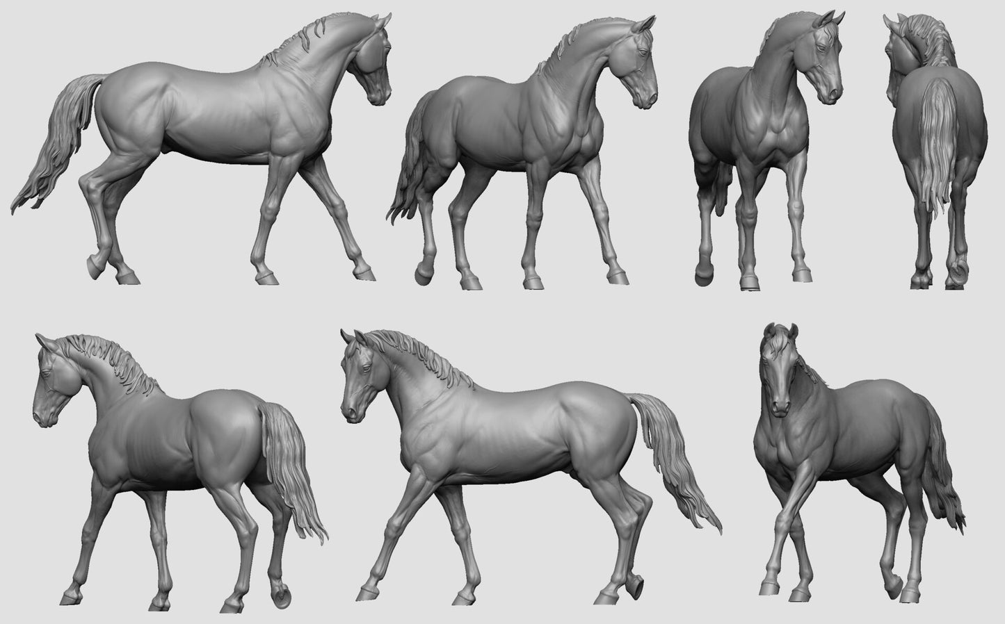 Walking horse - White resin ready to prep / paint LTD EDITION - Pre - Order