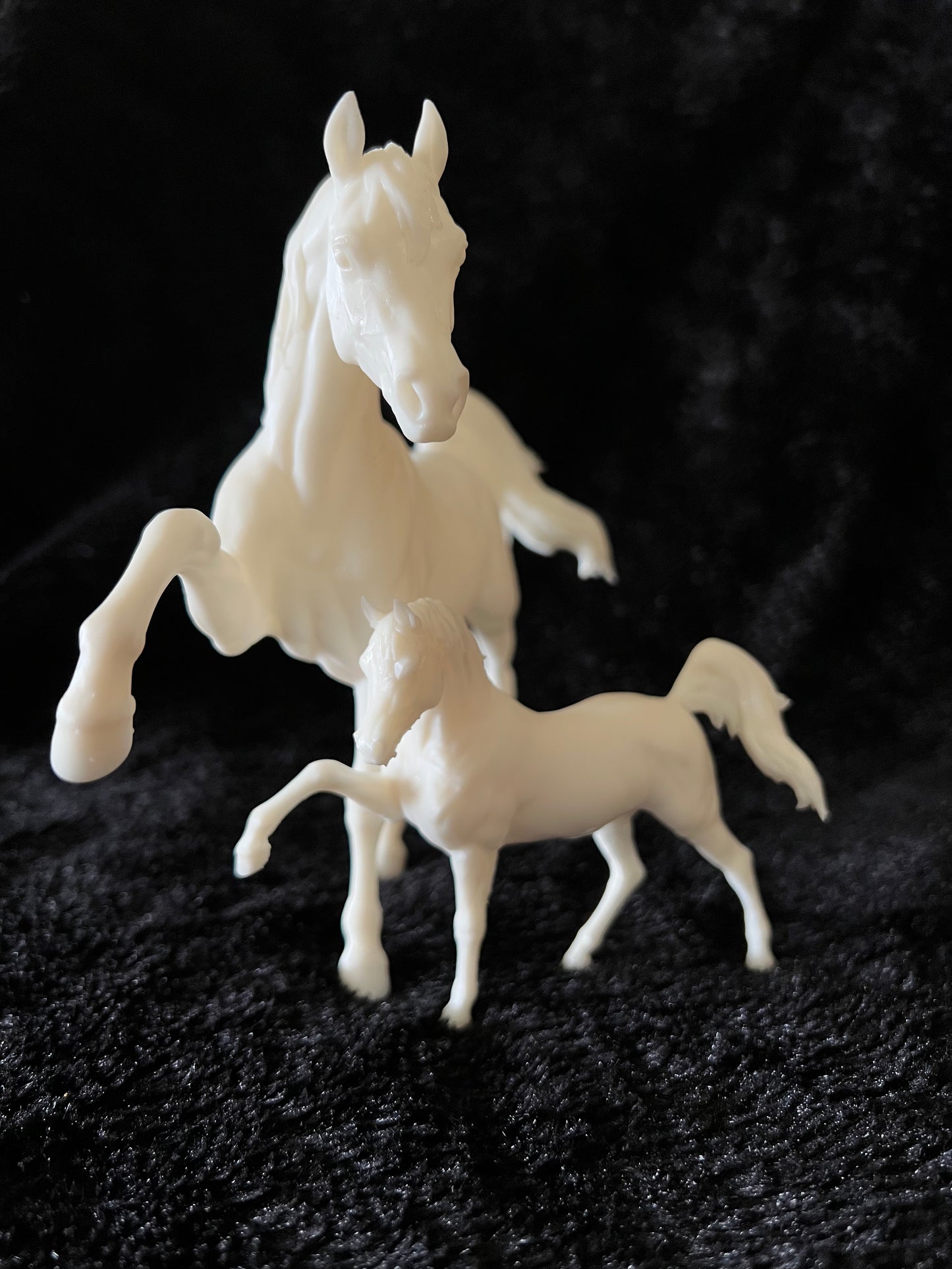 Sassy Arabian stallion Firefly - White resin ready to prep / paint LTD EDITION - Pre - Order
