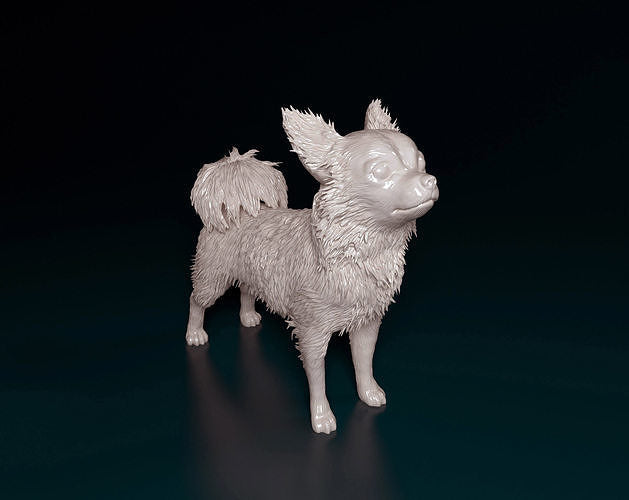 Hairy Chihuahua- white ready to paint