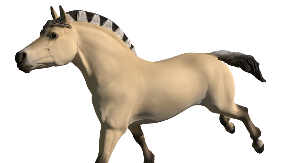 Catrina the cantering fjord mare - White resin ready to prep / paint LTD EDITION - Pre - Order