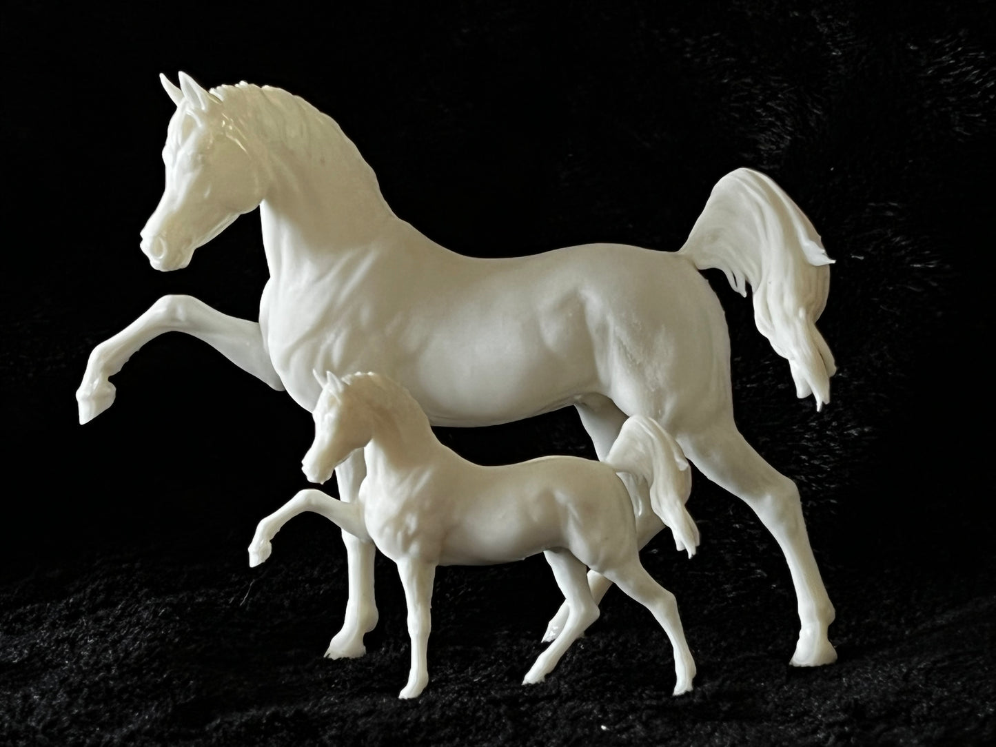Sassy Arabian stallion Firefly - White resin ready to prep / paint LTD EDITION - Pre - Order