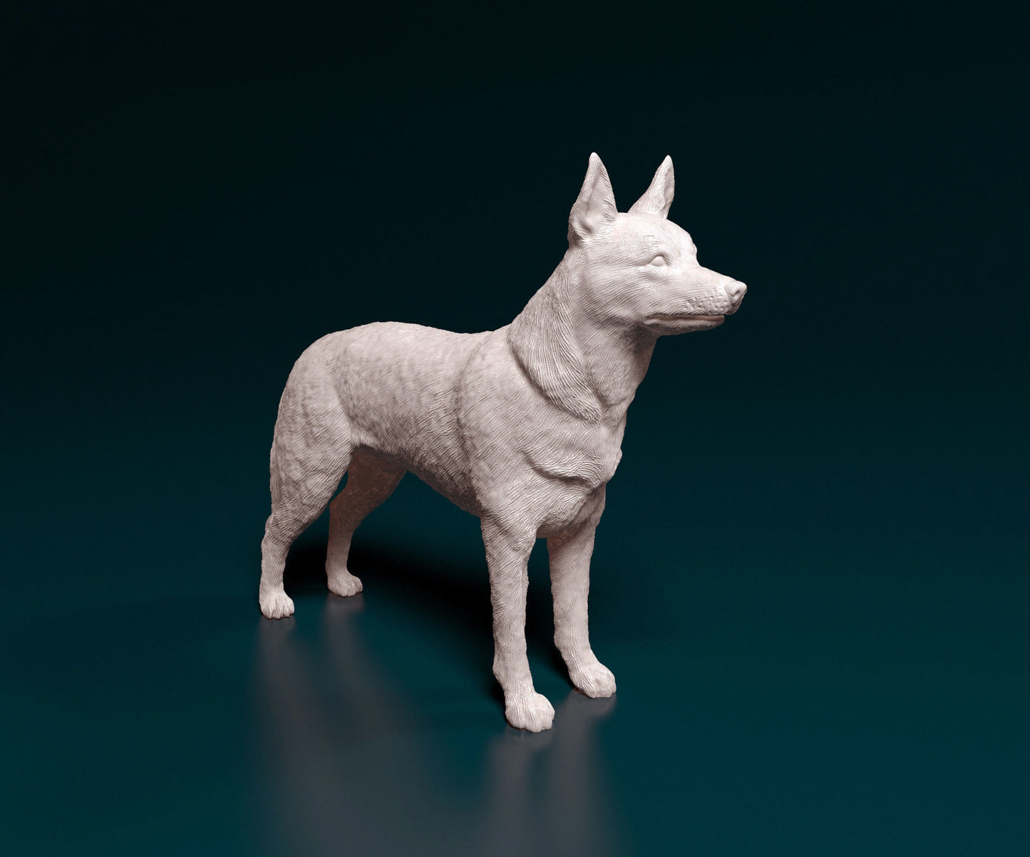 Kelpie - white ready to paint
