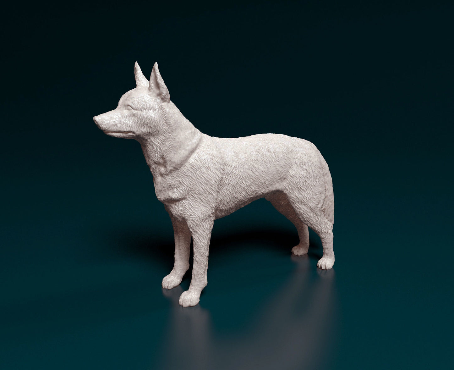 Kelpie - white ready to paint