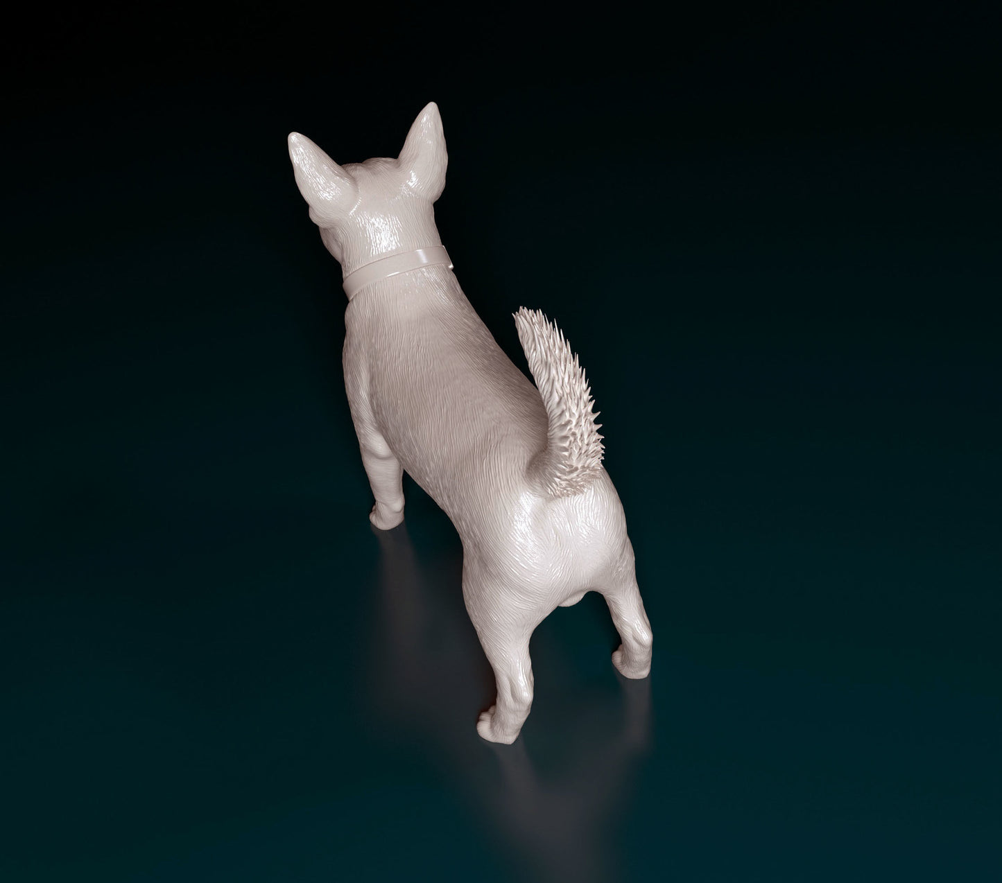 Lancashire heeler - white ready to paint