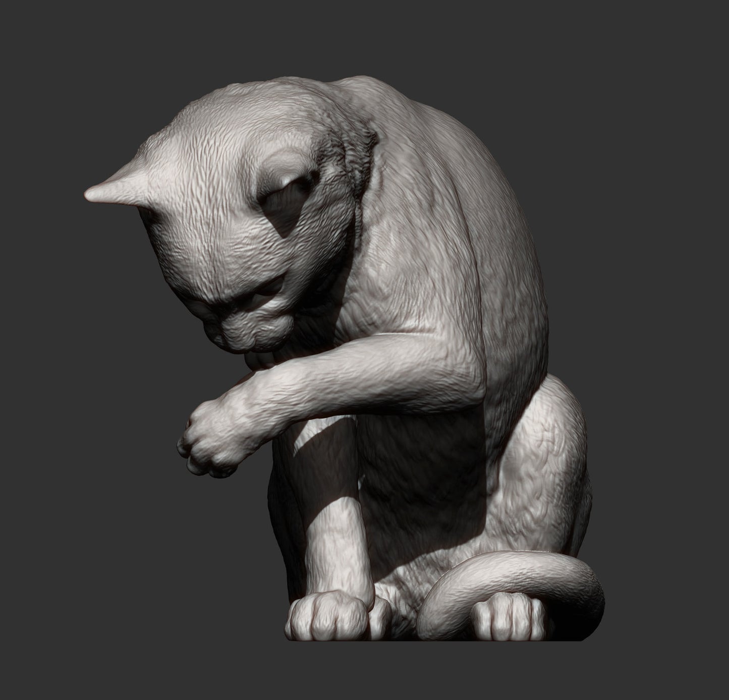 Cats - Many options - White resin ready to paint