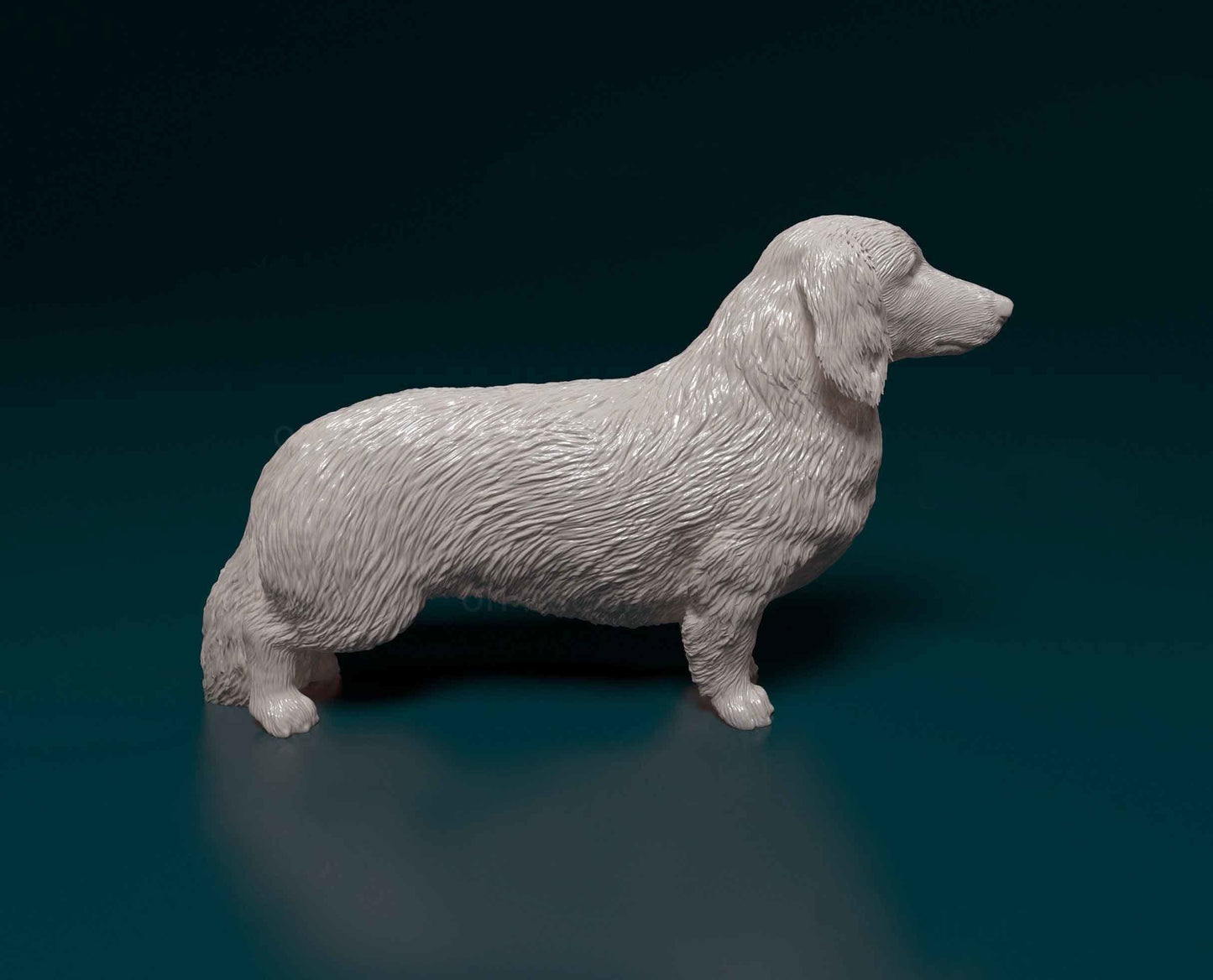 Long hair dachshund - white ready to paint