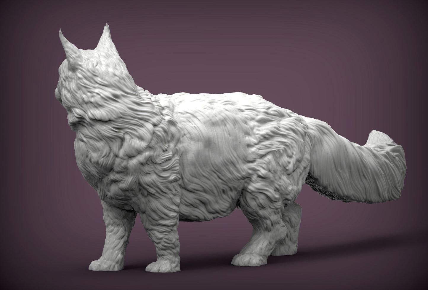 Maine coone cat - white ready to paint