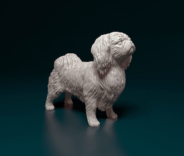 Pekingese - white ready to paint