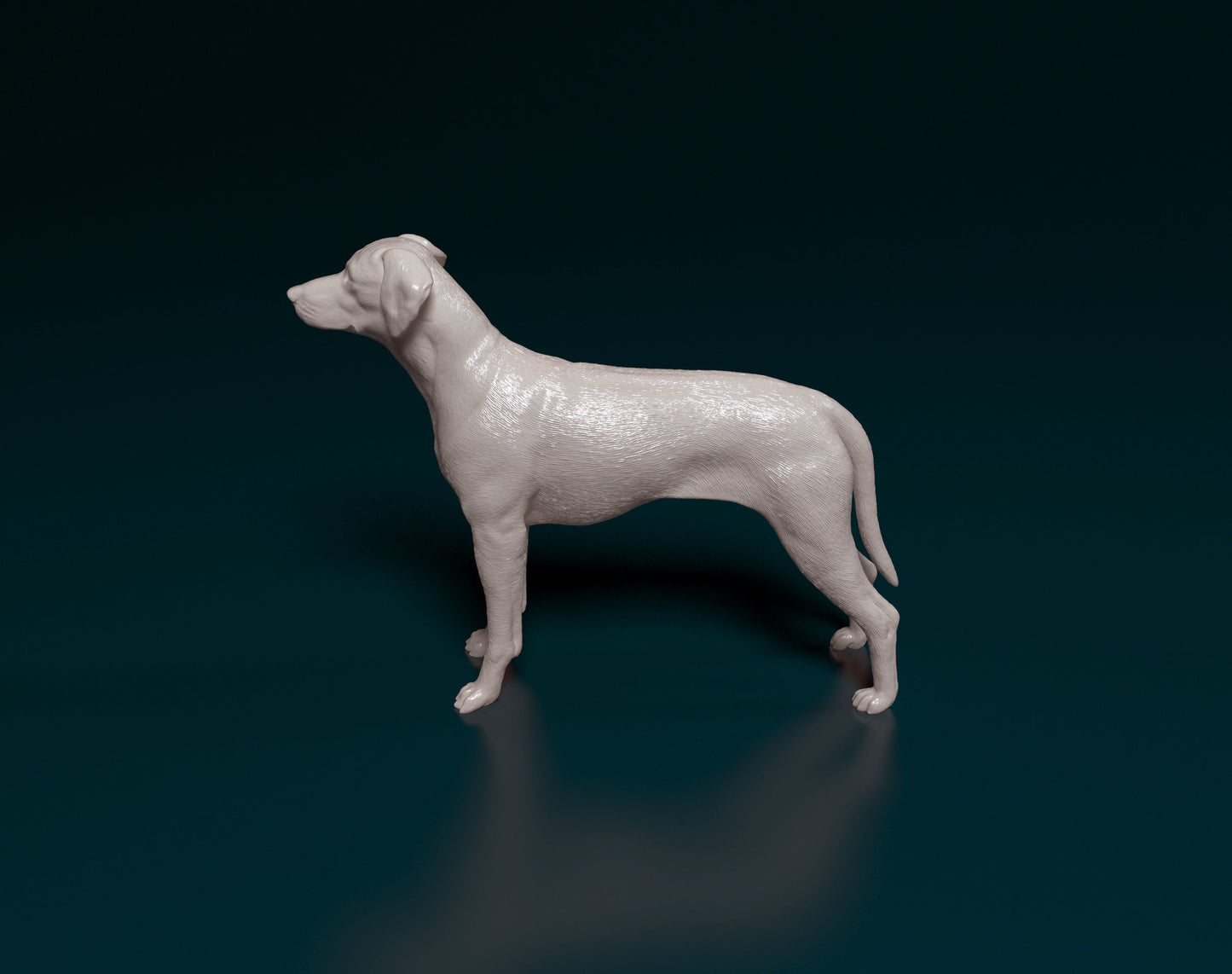 Rhodesian ridgeback - white ready to paint