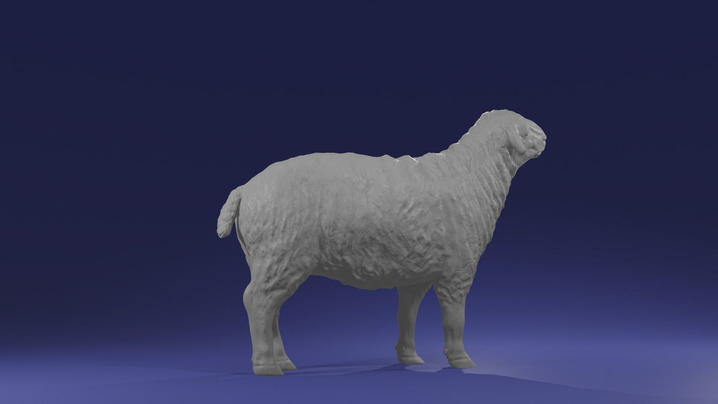 Pair of sheep - White resin ready to prep / paint LTD EDITION - Pre - Order