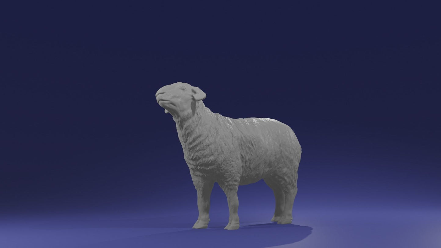 Pair of sheep - White resin ready to prep / paint LTD EDITION - Pre - Order
