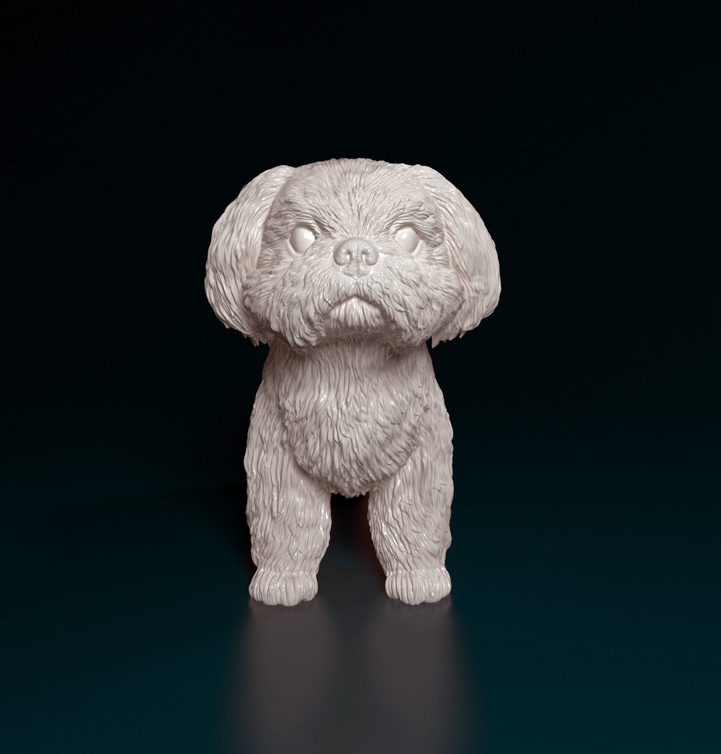 Shih Tzu - white ready to paint