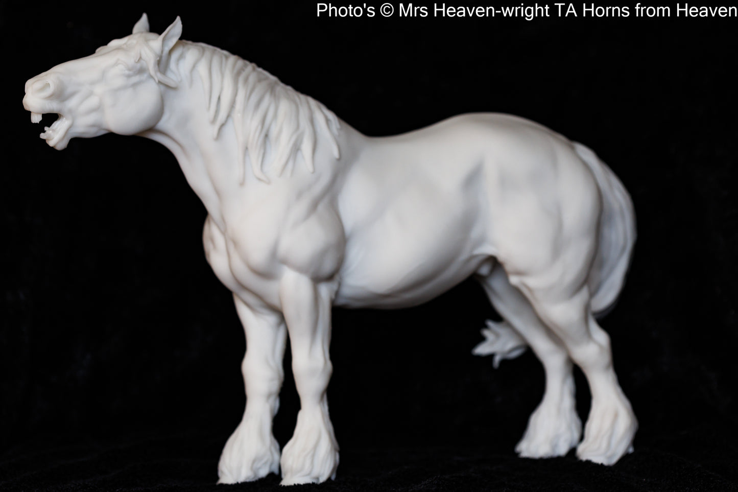 Suffolk Punch Neighing - white resin - ready to prep / paint - many options