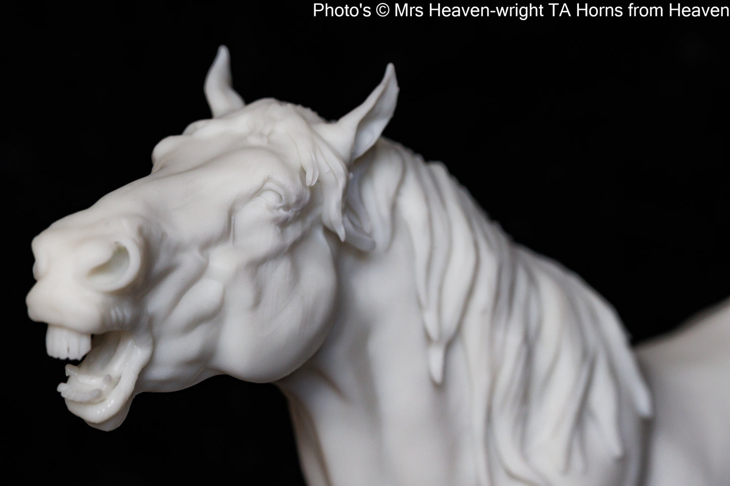 Suffolk Punch Neighing - white resin - ready to prep / paint - many options