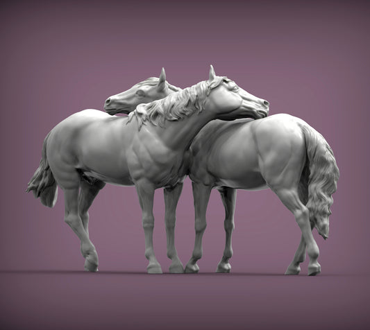 Horses in love pair