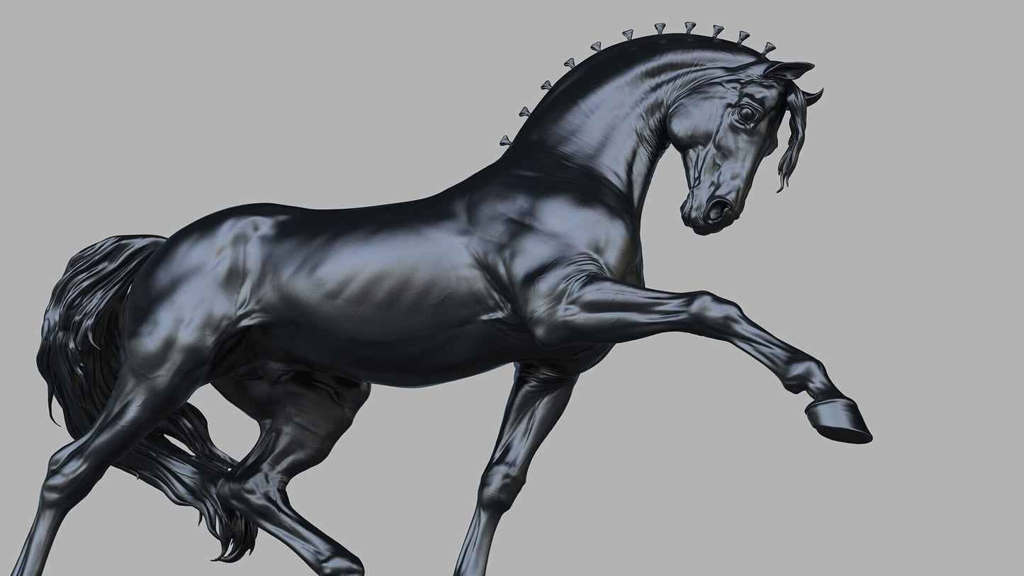 andalusian stallion model horse artist resin - White resin - ready to prep and paint