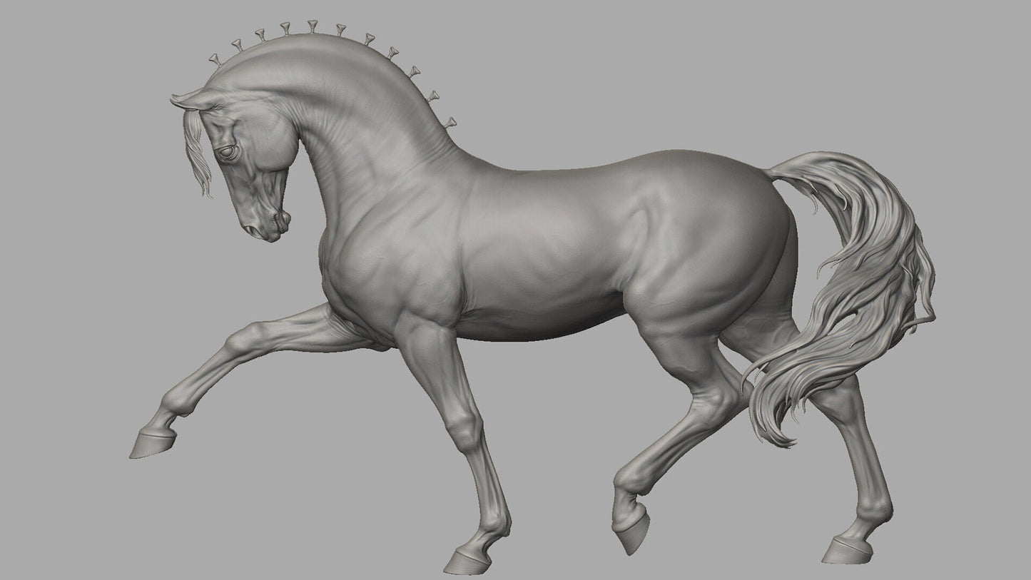 andalusian stallion model horse artist resin - White resin - ready to prep and paint