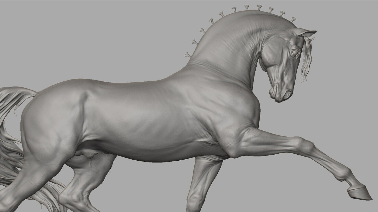 andalusian stallion model horse artist resin - White resin - ready to prep and paint