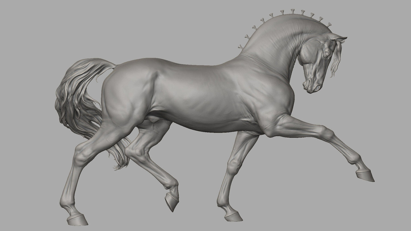 andalusian stallion model horse artist resin - White resin - ready to prep and paint