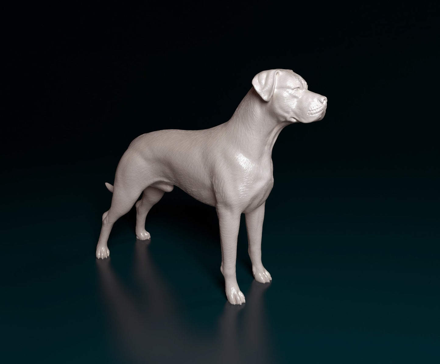 Dogo argentino artist resin - white resin ready to prep / paint ALL SCALES