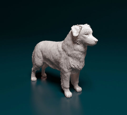 Australian shepherd artist resin - white resin ready to prep / paint ALL SCALES