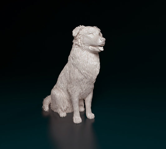 Australian shepherd sitting artist resin - white resin ready to prep / paint ALL SCALES