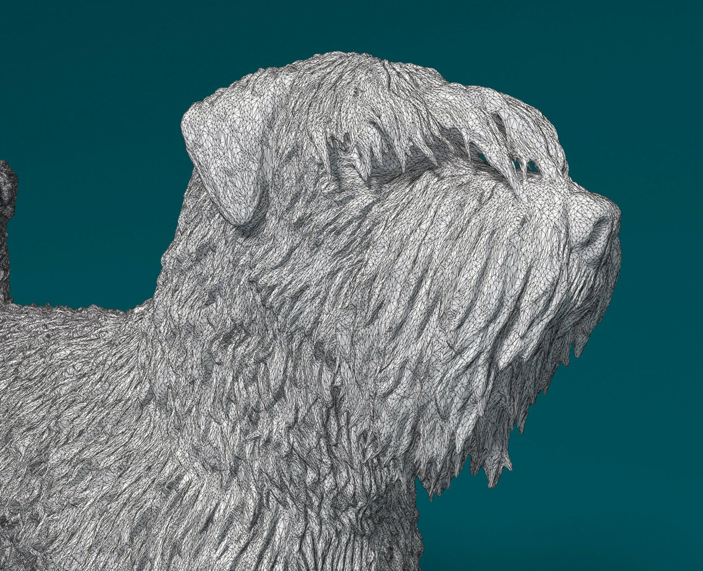 Bouvier des flandres  artist resin - white resin ready to prep / paint ALL SCALES