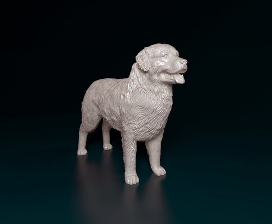 Copy of Bernese mountain dog 2 artist resin - white resin ready to prep / paint ALL SCALES