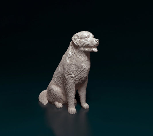 Bernese mountain dog sitting artist resin - white resin ready to prep / paint ALL SCALES