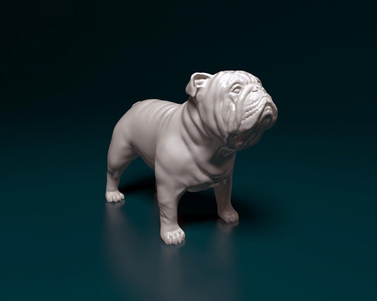 English Bulldog artist resin - white resin ready to prep / paint ALL SCALES
