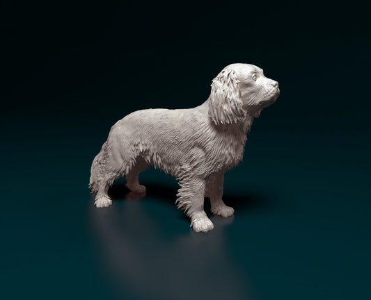 Cavalier king charles spaniel 2 artist resin - white resin ready to prep / paint ALL SCALES
