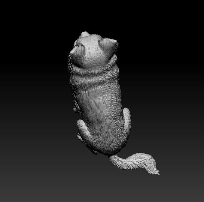 Chihuahua longhaired artist resin - white resin ready to prep / paint ALL SCALES