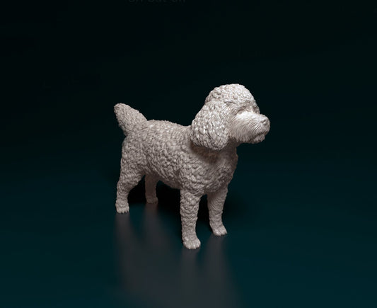 Cockerpoo artist resin - white resin ready to prep / paint ALL SCALES