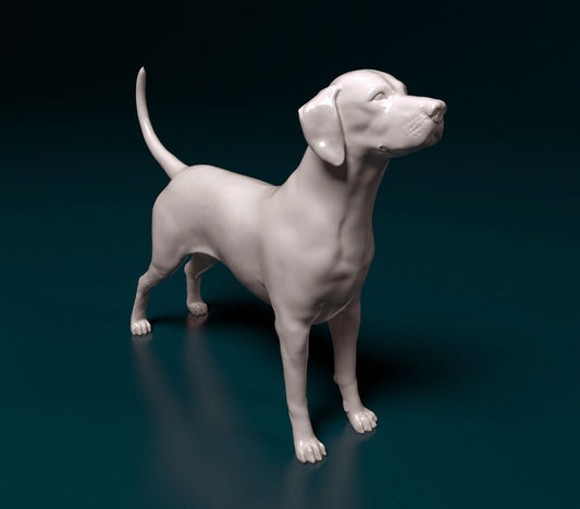 Dalmation artist resin - white resin ready to prep / paint ALL SCALES