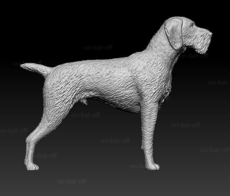German wirehaired pointer artist resin - white resin ready to prep / paint ALL SCALES