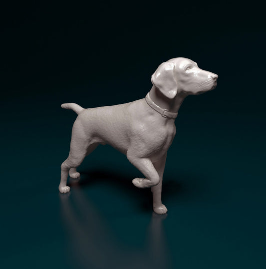 German shorthaired pointer artist resin - white resin ready to prep / paint ALL SCALES
