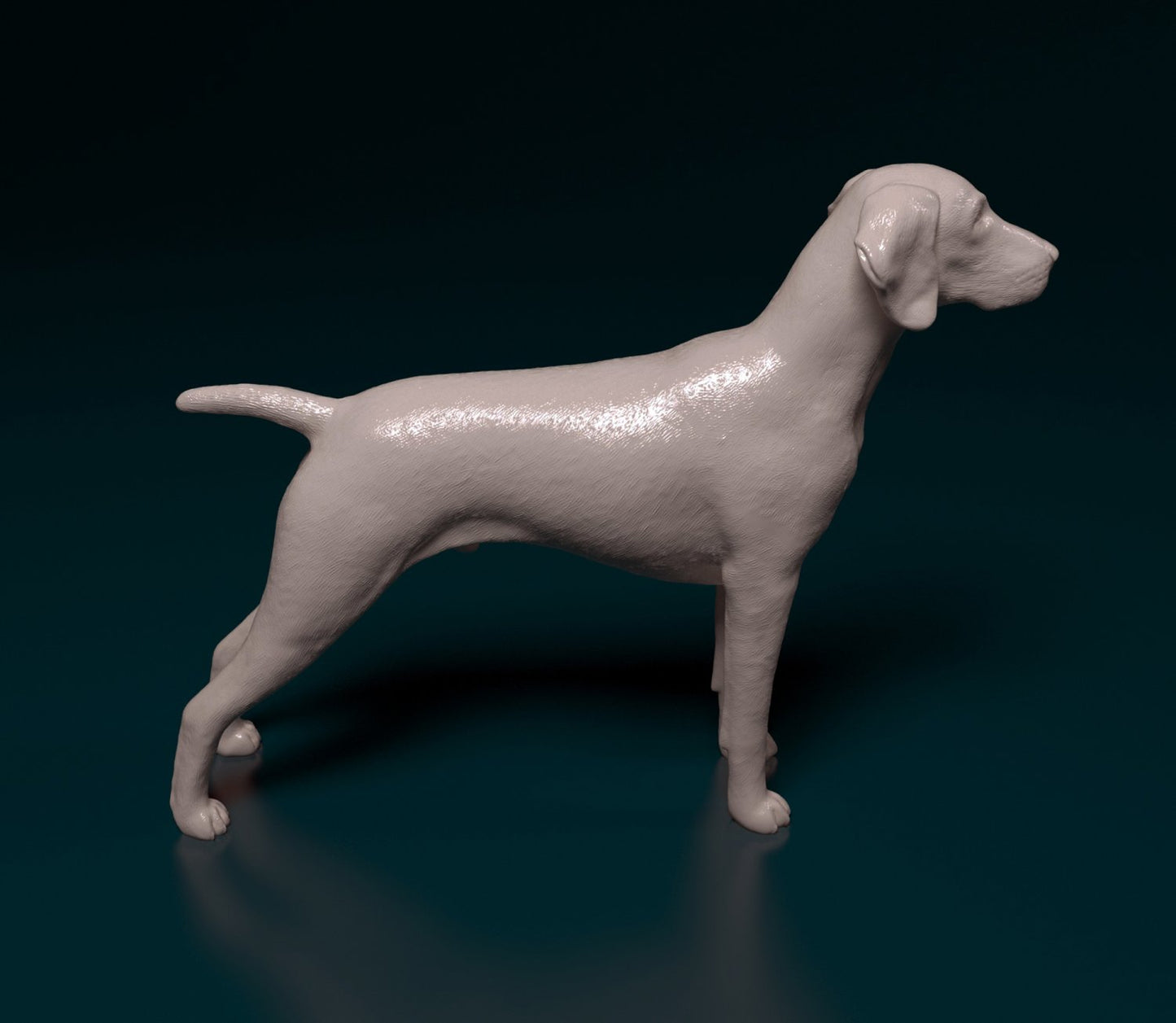 German shorthaired pointer 2 artist resin - white resin ready to prep / paint ALL SCALES