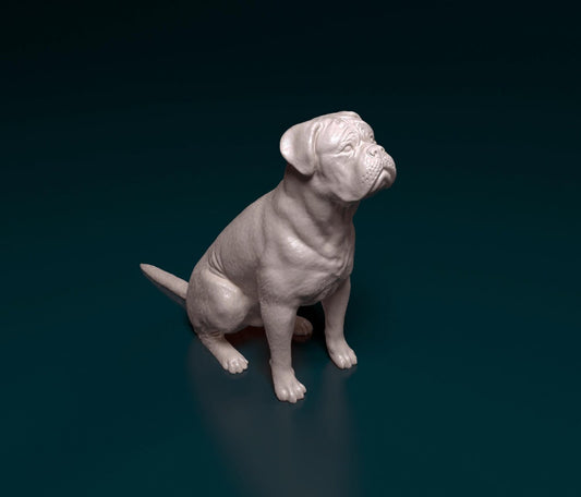 Copy of Dogue de Bordeaux 2 artist resin - white resin ready to prep / paint ALL SCALES