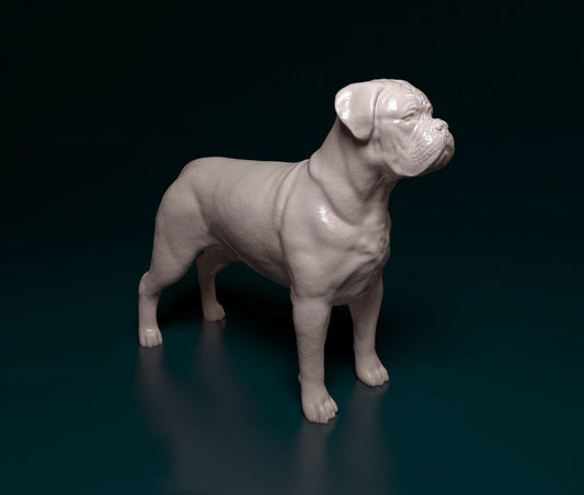 Dogue de Bordeaux artist resin - white resin ready to prep / paint ALL SCALES
