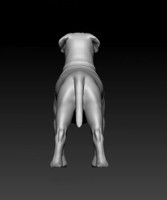 Dogue de Bordeaux artist resin - white resin ready to prep / paint ALL SCALES