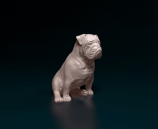 English Bulldog sitting artist resin - white resin ready to prep / paint ALL SCALES