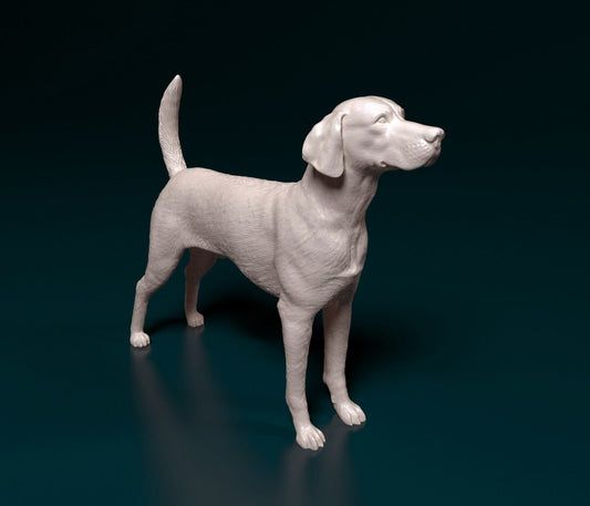 English foxhund artist resin - white resin ready to prep / paint ALL SCALES