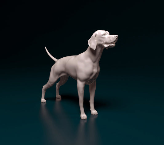 English pointer artist resin - white resin ready to prep / paint ALL SCALES