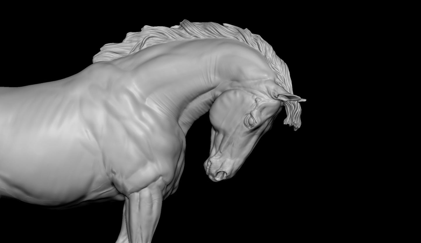 Proud Warmblood - White resin ready to prep / paint  LTD EDITION