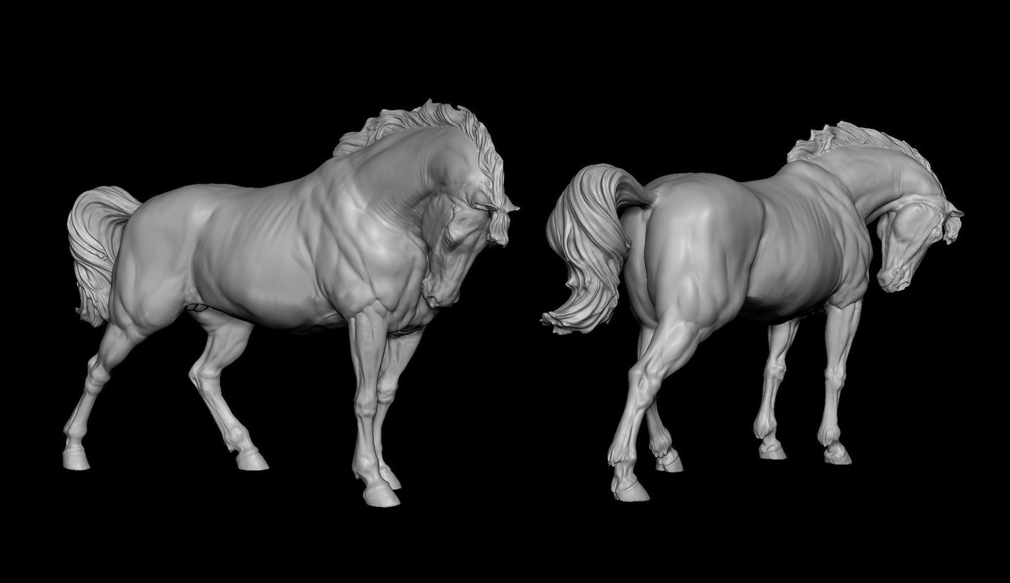 Proud Warmblood - White resin ready to prep / paint  LTD EDITION