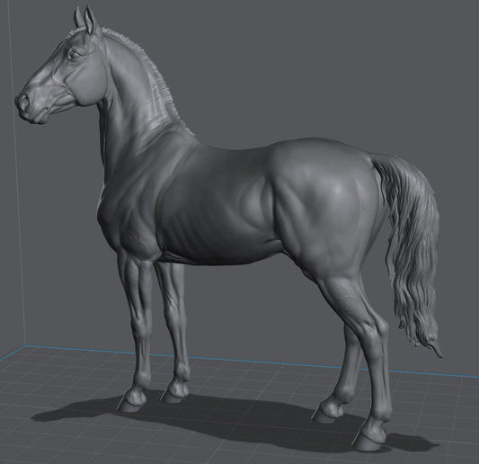 SM scale Grade horse / cob stallion resin model horse LTD edition artist resin
