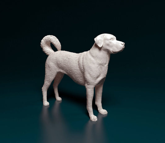 Kangal sherpherd artist resin - white resin ready to prep / paint ALL SCALES sculpture / figurine